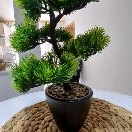 Διαμέρισμα White Haven Ebhausen