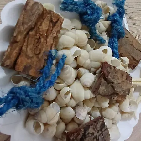 Διαμέρισμα White Haven